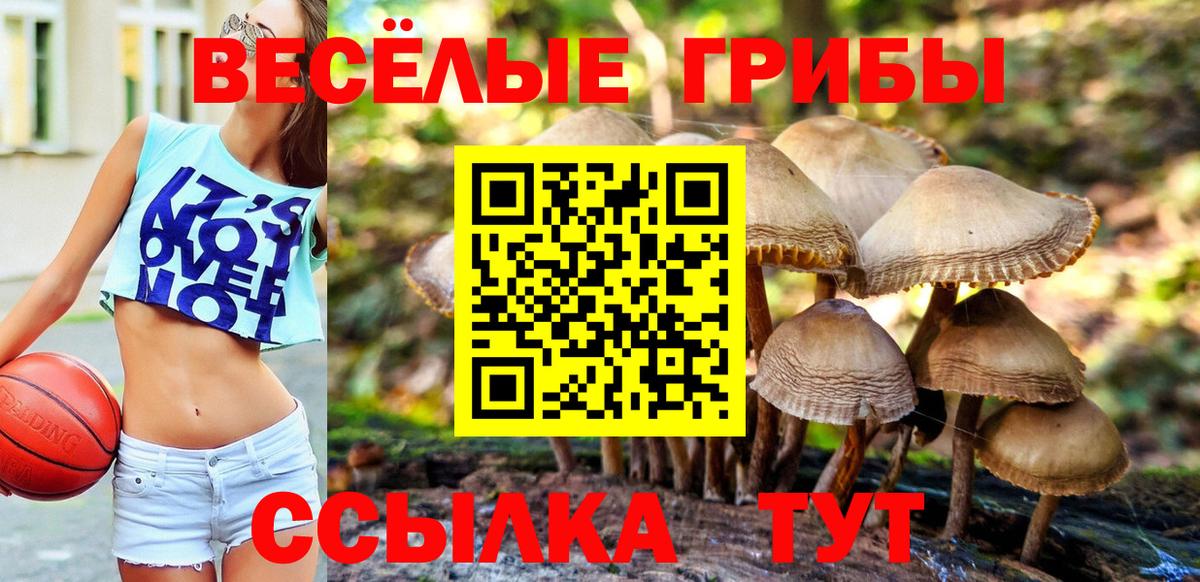 Псилоцибиновые грибы GOLDEN TEACHER  Псилоцибиновые грибы мухоморы  Шадринск  Вход с VPN 