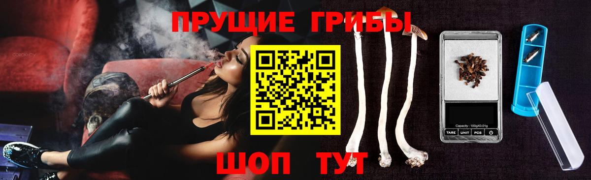 Псилоцибиновые грибы GOLDEN TEACHER Шадринск